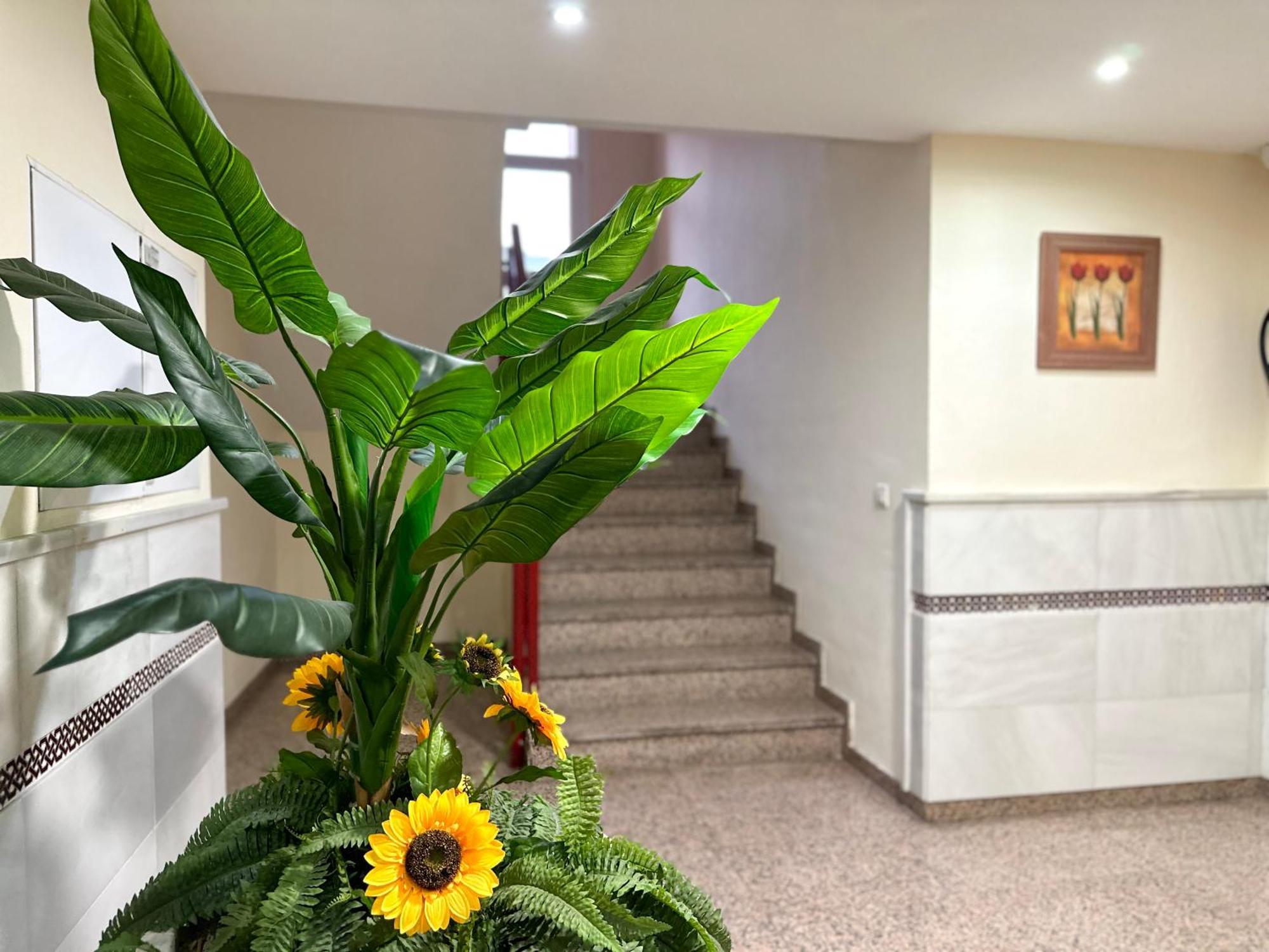 Studio In Costa Del Sol, Sea, Sunshine & Views Fuengirola Exterior photo
